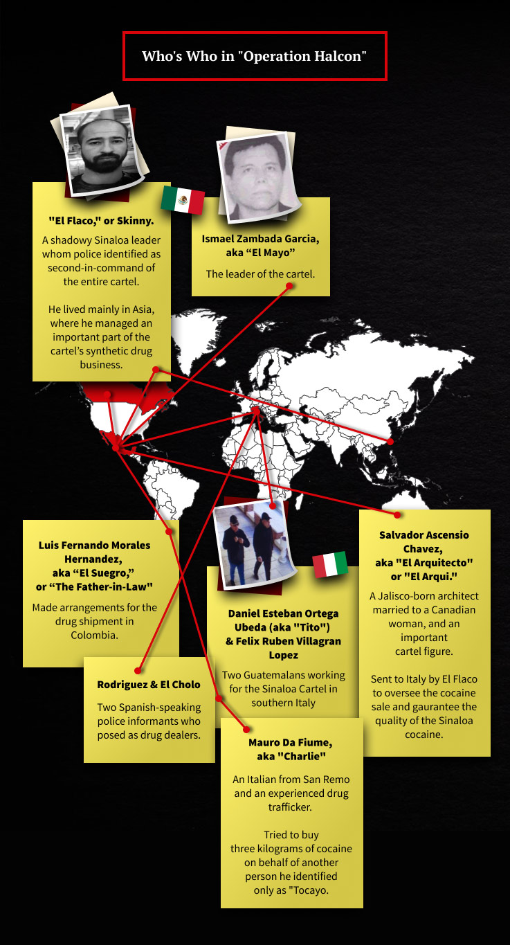 Inside The Sinaloa Cartel S Move Toward Europe I AML Israel Anti   OCCRP Cartel Sinaloa Infographic 